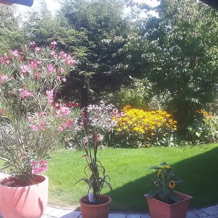 Apartman Magdalena *